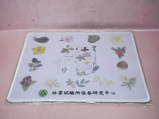 滑鼠墊