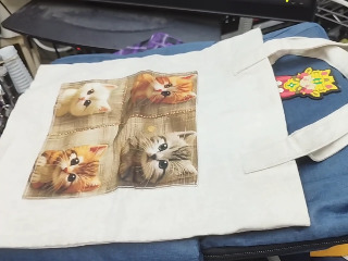 貓咪帆布袋