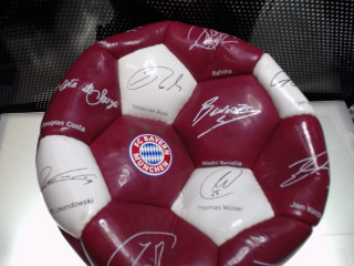 拜仁慕尼黑隊球