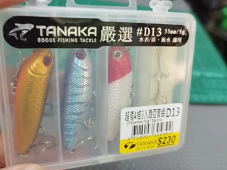 TANAKA D13