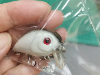 單隻小胖子