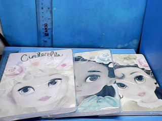 全新筆記本-單售