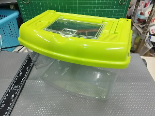 觀察箱