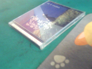 CD-紀曉君