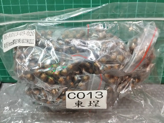 8螺紋珠