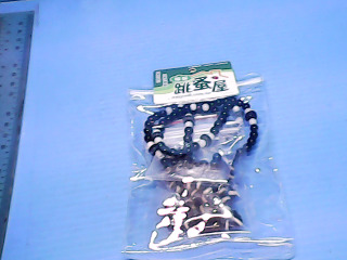 天珠項鍊