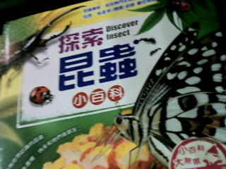 童書 探索昆蟲