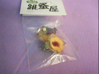 耳環
