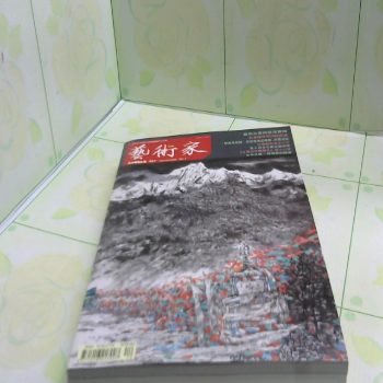 書 藝術家