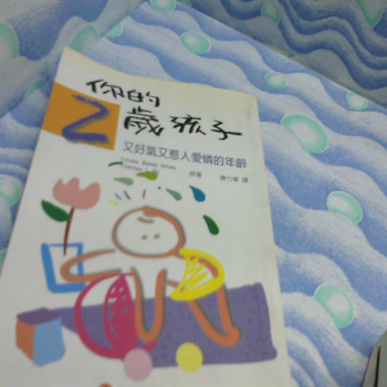 書 你的2歲小孩