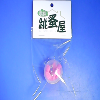 泡水變大龍蝦