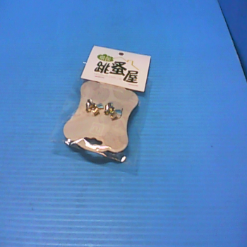 耳環