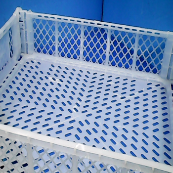 籃50*40