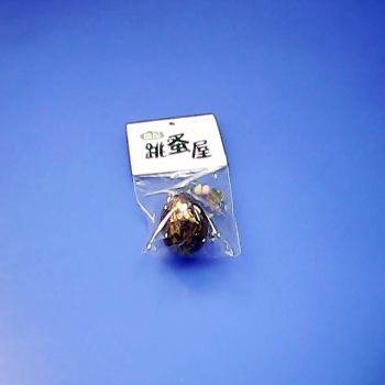 吊飾