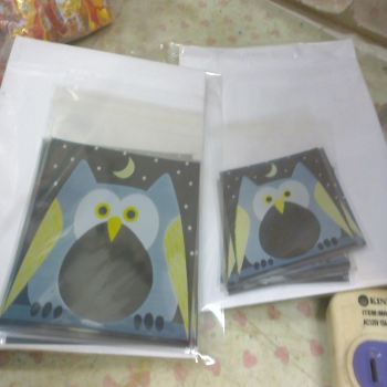 自黏包裝袋(大+小各10個)