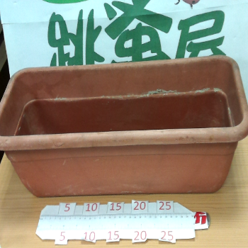 盆