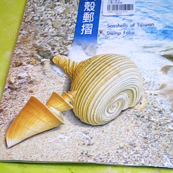 台灣貝殼郵摺