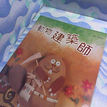 童書 動物建築書