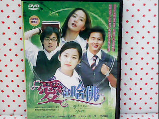 DVD(共24集)